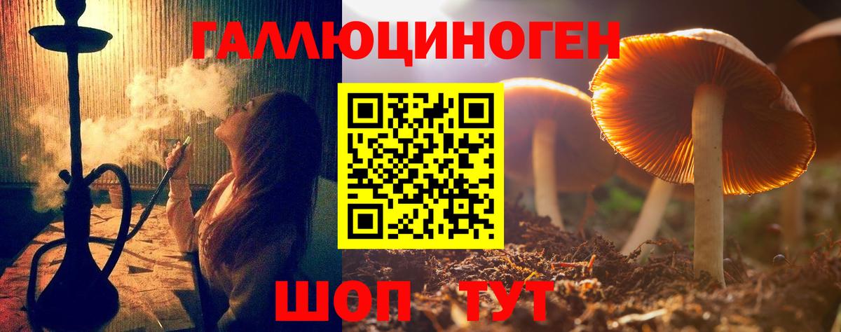 Галлюциногенные грибы Psilocybine cubensis Шебекино