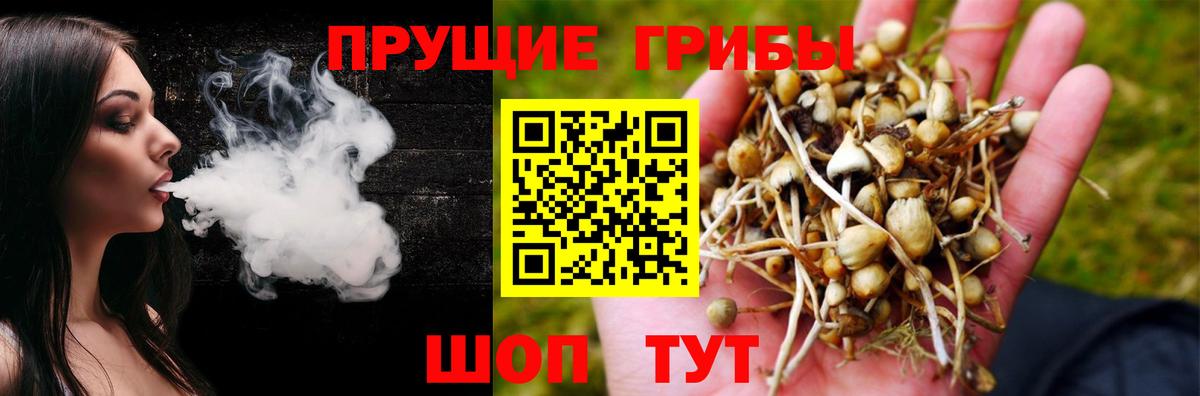 Псилоцибиновые грибы Cubensis  Вход с VPN  Шебекино 